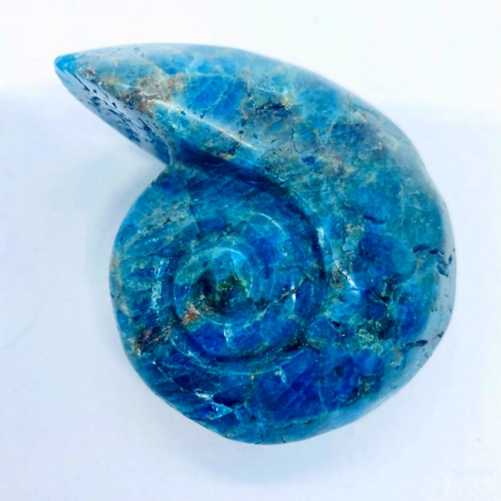 Blue Apatite Conch Shell - Picture 1 of 2